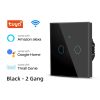 Tuya WiFi 2 Gang Smart Touch Switch Tempered Glass Panel Black Color Image