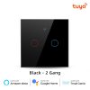Tuya WiFi 2 Gang Smart Touch Switch Tempered Glass Panel Black Color image